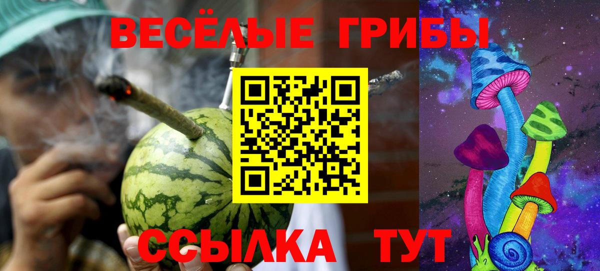 Галлюциногенные грибы Magic Shrooms  Псилоцибиновые грибы Psilocybe  Вход с VPN  Боровичи 